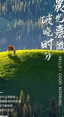 足球比分500官网-探秘足球比分500官网，一站式足球资讯与数据服务的领航者
