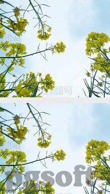 足球比分咋搞-揭秘足球比分的幕后推手，从数据采集到呈现的全流程解析